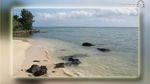 Tunisie : Des plages de Sousse et Monastir déconseillées